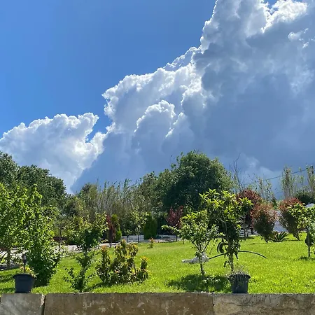 Alto Do Moinho アルコバサ